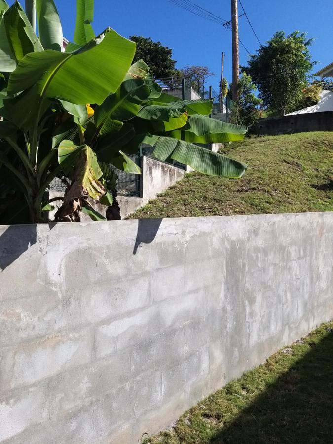 Aquaverde Eco Et Confort- Bas De Villa Avec Jardin Et Parking Le Gosier  Exterior photo